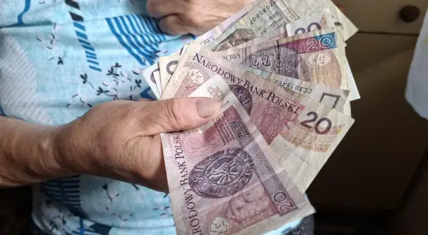 Dłoń starszej osoby trzyma polskie banknoty. To może być część jej emerytury wdowiej, symbolizująca wsparcie finansowe.