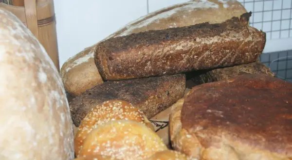 Różnorodne bochenki chleba, w tym ciemne żytnie i jasne pszenne. Zastanawiasz się, jaki chleb jest najzdrowszy? Oto kilka opcji do wyboru.