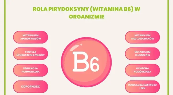Grafika przedstawia rolę witaminy B6 w organizmie: metabolizm aminokwasów, syntezę neuroprzekaźników, regulację hormonalną, odporność, metabolizm węglowodanów i tłuszczów, ochronę komórkową oraz regulację nastroju i snu. Bezpieczna dawka witamina b6 je...