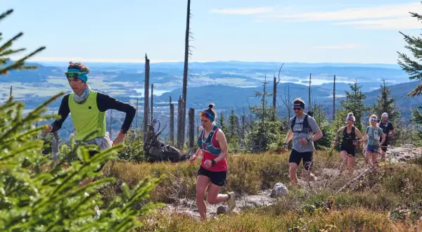 Gruppe von Läufern beim trailrunning training in bergiger Landschaft mit Blick auf ein Tal.
