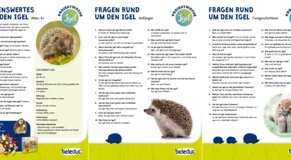 Ein niedlicher Igel sitzt auf einer Hand, umgeben von Informationen über den Igel-Kindergarten und Fragen rund um den Igel.