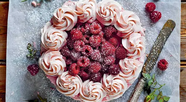 En vacker chokladtårta med hallon, dekorerad med rosa frosting och färska hallon. Pudrad med florsocker.