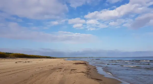 Pusta plaża nad Bałtykiem, gdzie fale delikatnie obmywają brzeg. To właśnie tu, dzięki licznym rzekom i niewielkiemu parowaniu, dowiadujemy się, dlaczego Bałtyk jest mało zasolony.