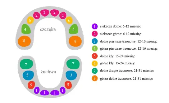 Zęby mleczne u dzieci: Kiedy wypadają, jak pomóc i co niepokoi?