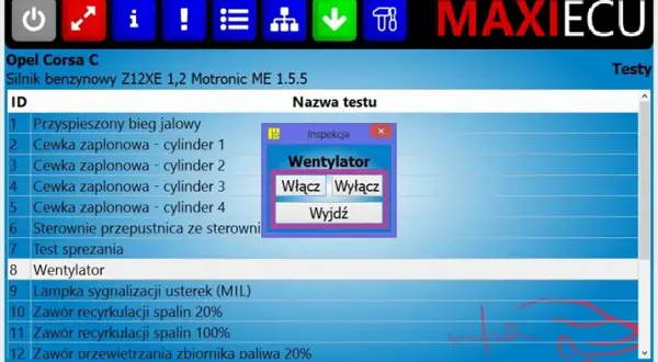 Jak łatwo sprawdzić punkty w programie Toyota More i uniknąć błędów