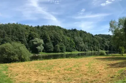 Gdzie na spacer z psem w Podkarpackiem? Odkryj najlepsze miejsca