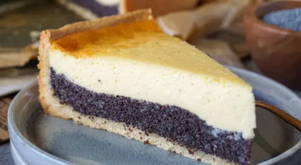 Ein Stück schneller Quark Mohn Kuchen ohne Boden auf einem Teller. Die Mohnschicht ist dunkel und die Quarkschicht hellgelb.
