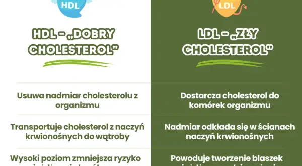 Jak obliczyć cholesterol LDL i uniknąć problemów zdrowotnych