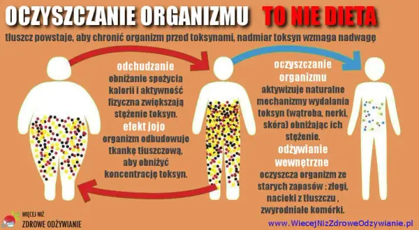 Detoks wegański: Czy to zdrowe oczyszczanie? Sprawdź fakty!