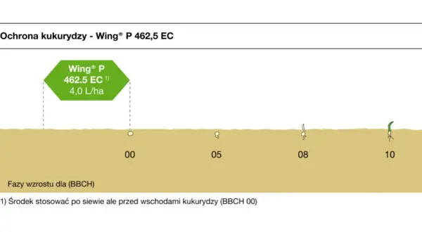 Etykieta Wing® P 462,5 EC 4,0 L/ha dla ochrony kukurydzy. Schemat pokazuje fazy wzrostu rośliny od BBCH 00 do 10.