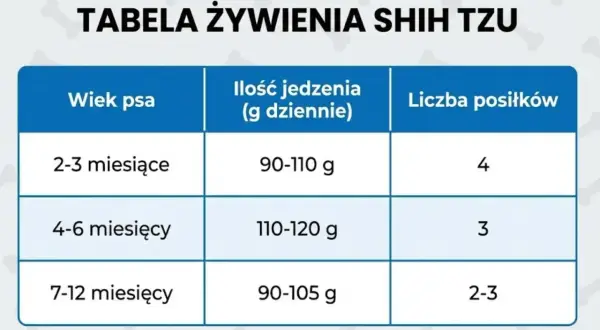 Tabela żywienia szczeniaka Shih Tzu: wiek, ilość jedzenia (g dziennie) i liczba posiłków.