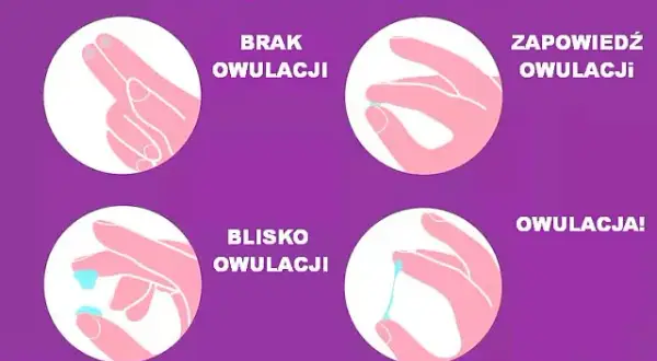Śluz owulacyjny: Jak rozpoznać dni płodne i zwiększyć szanse na ciążę?