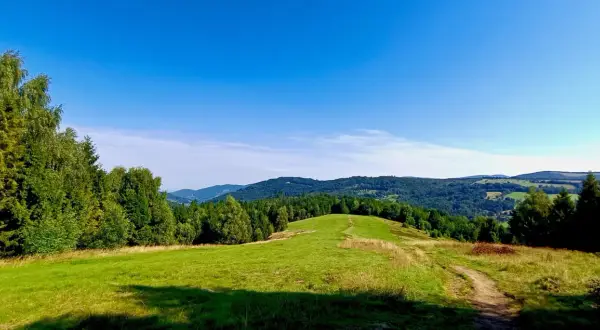 Piękny, zielony szlak na Trzy Kopce Wiślańskie prowadzi przez wzgórza i lasy.