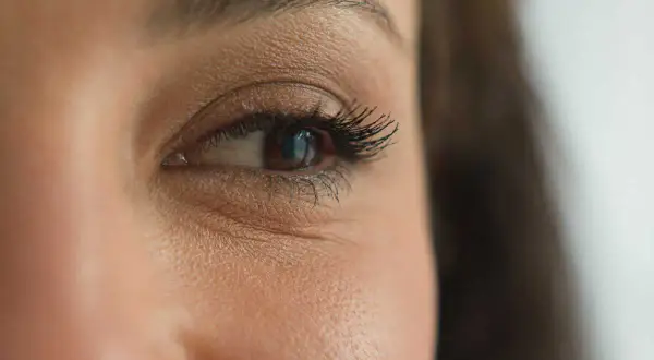 Gros plan sur un œil marron, cils longs et recourbés. Une étape maquillage yeux réussie, le regard est intense.