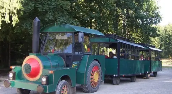 Ceny ciuchci w Dolinie Chochołowskiej: ile kosztuje przejazd?