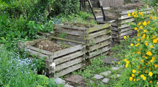 Holzkomposter im Garten, bereit, um kompost anlegen zu beginnen. Gelbe und blaue Blumen blühen daneben.