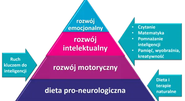 Piramida rozwoju: dieta, ruch, rozwój motoryczny, intelektualny i emocjonalny. Kluczem do inteligencji jest ruch, a sprawczość buduje się na fundamencie zdrowia.