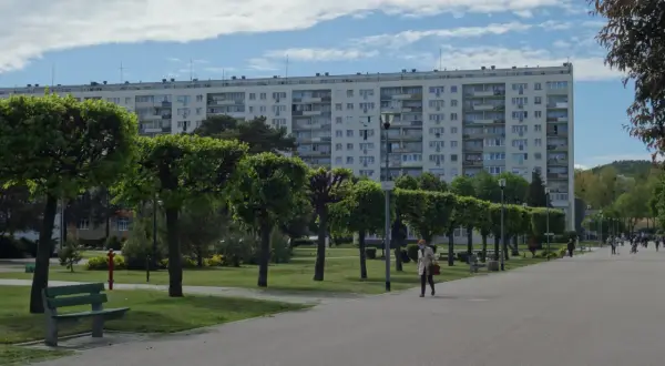 Spacerem po Gdańsku Żabiance, wzdłuż alei drzew i zieleni, podziwiając architekturę bloków mieszkalnych.