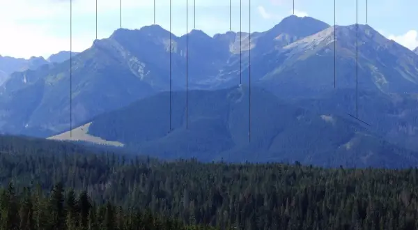 Gęsia Szyja, skąd wyruszyć na szlak? Widok na Tatry z lasem w pierwszym planie.