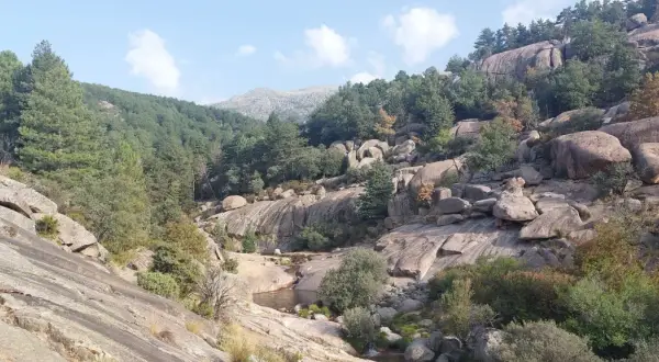 Paisaje rocoso con vegetación y un pequeño río, ideal para **la pedriza rutas**.