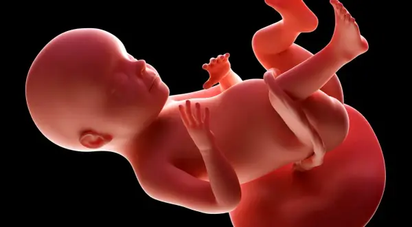 Płód w 28 tygodniu ciąży, który to miesiąc to już początek 7. miesiąca. Dziecko rośnie i rozwija się w łonie matki.