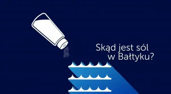 Jakie jest zasolenie Bałtyku? Zaskakujące różnice i przyczyny