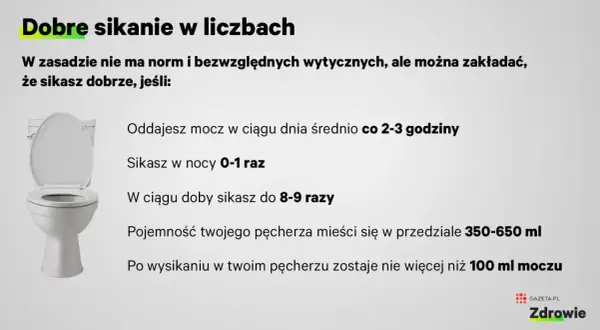 Dobre sikanie w liczbach: oddajesz mocz co 2-3 godziny w dzień, 0-1 raz w nocy, łącznie 8-9 razy na dobę. Pojemność pęcherza 350-650 ml.