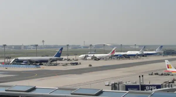 Samoloty United Airlines i innych linii lotniczych na płycie lotniska Frankfurt nad Odrą.