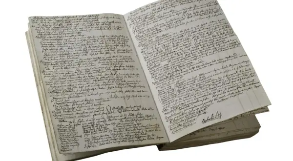 Altes Schriftdokument mit handgeschriebenen Notizen und botanischen Zeichnungen.
