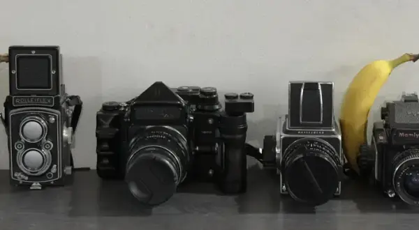 A lineup of vintage cameras, including a Mamiya C2, Rolleiflex, Hasselblad, Mamiya 645, and Holga, with bananas for scale.