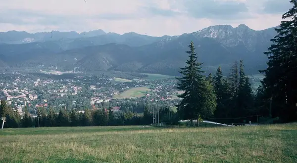 Widok na Tatry z górskiej łąki, z miastem w dolinie i lasem po prawej.