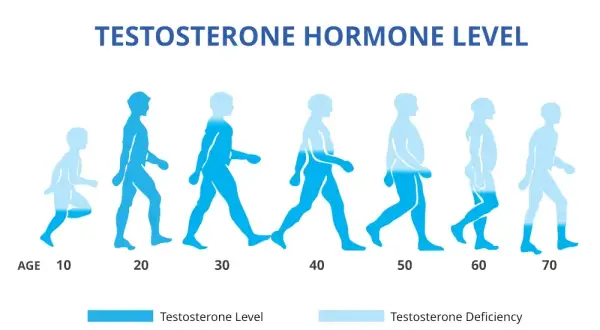 Zaburzenia hormonalne u mężczyzn objawy – nie ignoruj tych sygnałów