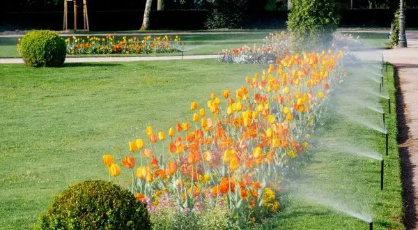 Soluciones de riego Hunter: eficiencia y calidad para tu jardín