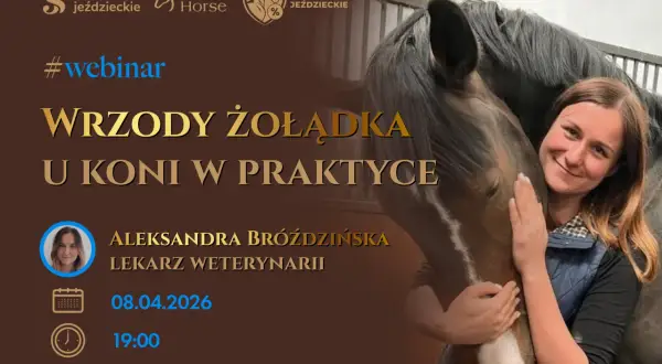 Webinar o wrzodach żołądka u koni. Aleksandra Bróżdzińska, lek. wet. Zapraszamy do **equestro centrum szkolenia jeździeckiego**.