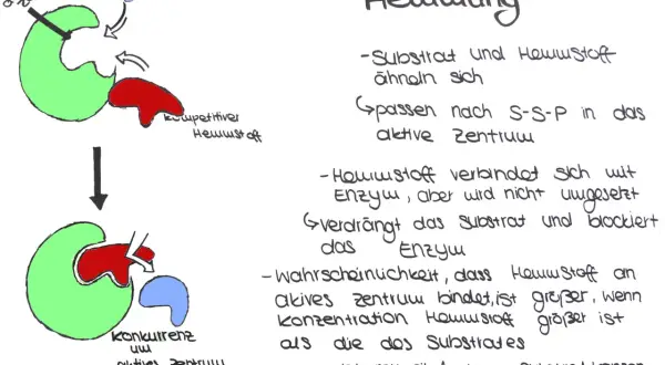 Schema zeigt kompetitive Hemmung: Hemmstoff (rot) und Substrat (blau) konkurrieren um das aktive Zentrum (grün) des Enzyms.