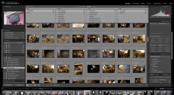 Katalogowanie zdjęć w Lightroom. Widok siatki z miniaturami, panele metadanych i słów kluczowych.
