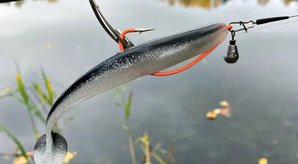 Zander-Montage: Ein Gummifisch mit Haken und Bleikopf hängt an einer Angelschnur über ruhigem Wasser.