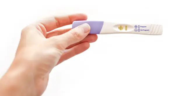 Dłoń trzyma test ciążowy z dwoma kreskami, wskazującymi na pozytywny wynik. Test wykrywa hormon hcg.
