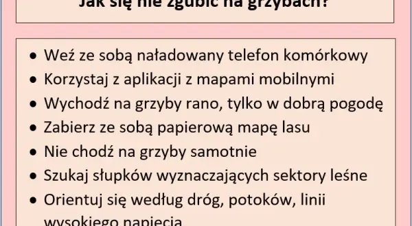 Jak nie zgubić się w lesie na grzybach? Praktyczny przewodnik