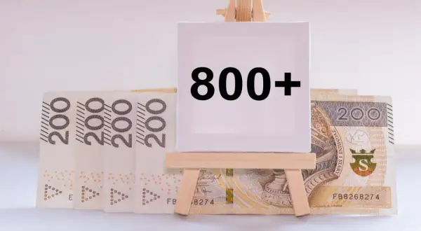 Na sztaludze napis "800+". Za nią stos banknotów 200 zł.