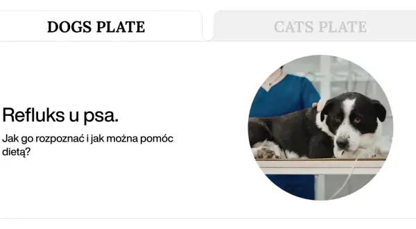Pies z refluksem leży na stole weterynaryjnym. Tekst informuje o problemie regurgitacji u psa i sposobach pomocy dietą.