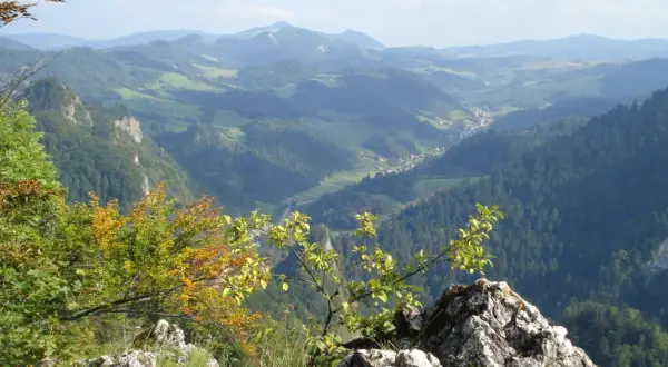 Widok na malownicze szczyty w Pieninach, z doliną i lasami w tle.