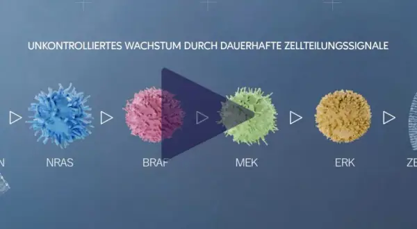 Zellteilungssignale treiben unkontrolliertes Wachstum bei Hautkrebs an. Immuntherapie kann hier ansetzen.
