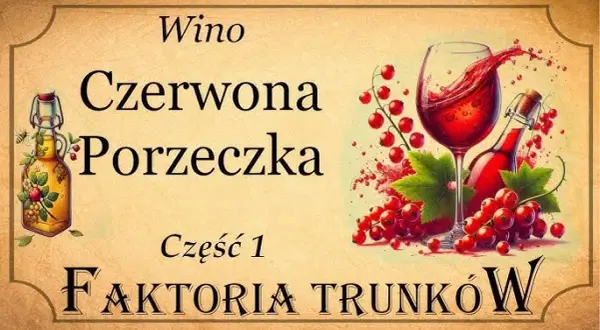 Jak zrobić wino z czerwonej porzeczki – prosta receptura krok po kroku