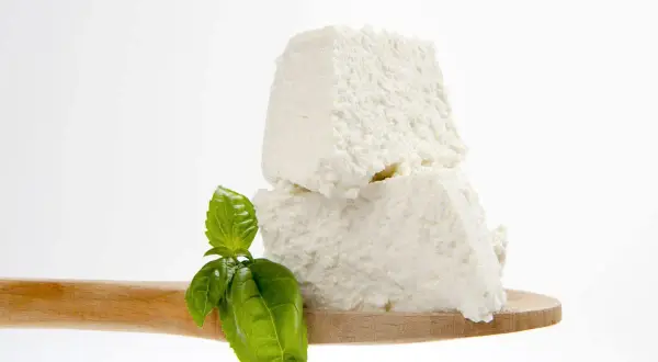 Ricotta fresca su cucchiaio di legno con basilico, un assaggio di come si fa la ricotta in caseificio.