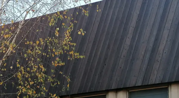 Un muro inclinato di legno bruciato giapponese, con rami autunnali e foglie gialle che si stagliano contro il cielo.