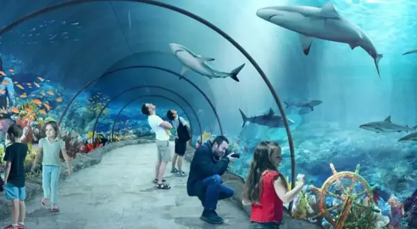 Podwodny tunel w łódzkim oceanarium, gdzie rekiny pływają nad głowami zwiedzających. Dzieci z zachwytem obserwują morskie życie.