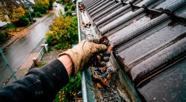 Herbstlaub entfernen: Eine Hand mit Handschuh greift Laub aus einer verstopften Dachrinne, um sie zu reinigen.