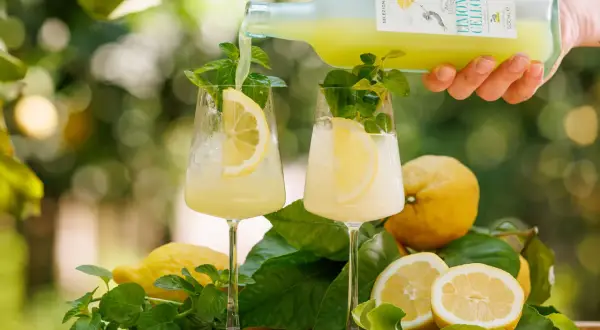 Limoncello wird in Gläser mit Zitrone und Minze gegossen.