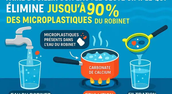 Faire bouillir l'eau du robinet élimine les microplastiques. L'ébullition transforme le carbonate de calcium, puis la filtration retient les résidus.